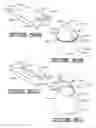 Fig. 15 - Decorative assembly for a floral grouping