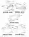Fig. 17 - Decorative assembly for a floral grouping