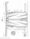 Fig. 02 - Resilient retention system for a door panel