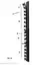 Fig. 32 - Modular accomodation system (bmas)