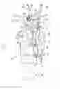 Fig. 02 - Transmission for a working vehicle