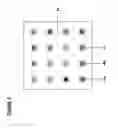 Fig. 03 - Holder for sample materials used in high throughput physical vapor deposition material studies