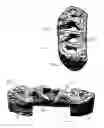 Fig. 03 - Hearth Illuminator