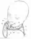 Fig. 01 - Oxygen diffuser support