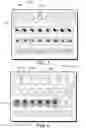 Fig. 05 - Nail-art systems