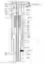 Fig. 07 - Downhole resettable jar tool with axial passageway and multiple biasing means