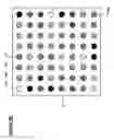 Fig. 06 - High throughput physical vapor deposition system for material combinatorial studies