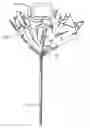 Fig. 01 - Gift product display and bouquet