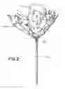 Fig. 03 - Gift product display and bouquet