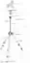 Fig. 01 - Support for apparatus in general and, in particular, for optical or photographic apparatus and the like