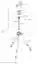 Fig. 02 - Support for apparatus in general and, in particular, for optical or photographic apparatus and the like