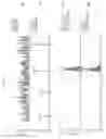 Fig. 06 - Focusing ions using gas dynamics