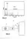 Fig. 07 - System and method for generating chaotic sound for sonic infrared imaging of defects in materials