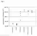 Fig. 02 - Semiconductor device and method of manufacturing the same