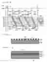 Fig. 07 - Pattern drawing method, method of manufacturing a master disk for manufacturing information recording media, and method of manufacturing an information recording medium