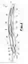 Fig. 02 - Vibration control system and improvements in or relating to skis