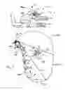 Fig. 02 - Air bag