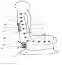 Fig. 01 - Child car seat