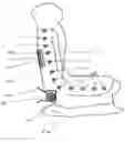Fig. 02 - Child car seat