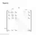 Fig. 09 - Sensor array for measuring plasma characteristics in plasma processing environments