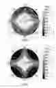 Fig. 02 - Method for producing birefringent film