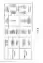 Fig. 04 - Method for producing birefringent film