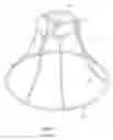 Fig. 06 - Lamp shade