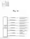 Fig. 07 - Camera interface and method using DMA unit to flip or rotate a digital image