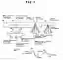 Fig. 04 - Optical disc drive and optical disc discriminating method