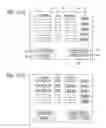 Fig. 19 - IP device, management server, and network system