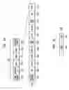 Fig. 12 - Frame aggregation format
