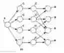 Fig. 01 - Randomized distributed network coding
