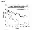 Fig. 06 - Error masking method using moving picture electronic watermark of video