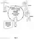 Fig. 02 - Method and system for enhanced management of telephone conferences