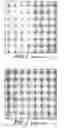 Fig. 02 - System and method for comparing images with different contrast levels