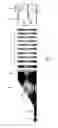 Fig. 02 - Method and apparatus for compactly coupling an optical fiber and a planar optical waveguide