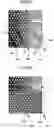 Fig. 16 - Optical control element