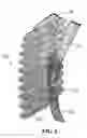 Fig. 06 - Unitary assembly of biological specimen support articles, and apparatus for dispensing individual biological specimen support articles therefrom