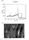 Fig. 06 - Method of chemical surface modification of polytetrafluoroethylene materials
