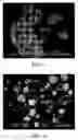 Fig. 02 - System for treating gaseous streams using metamorphosed mineral compositions having internal lattice defects