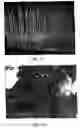 Fig. 07 - System for treating gaseous streams using metamorphosed mineral compositions having internal lattice defects