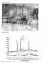 Fig. 04 - Method and apparatus for the production of carbon nanostructures