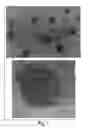 Fig. 08 - Synthesis of nanometer-sized particles by reverse micelle mediated techniques