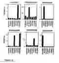 Fig. 08 - Fusion constructs containing active sections on TNF ligands