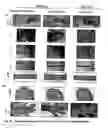 Fig. 13 - Fusion constructs containing active sections on TNF ligands