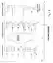 Fig. 04 - Protonic formulation