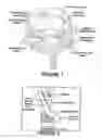 Fig. 02 - Biological bioadhesive compositions and methods of preparation and use