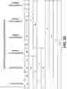Fig. 06 - Methods and materials for the inhibition of transplant rejection