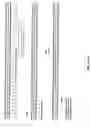 Fig. 05 - Modified anti-CD52 antibody