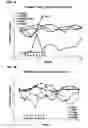 Fig. 06 - Methods for the therapy of Inflammatory Bowel Disease using a type-1 interferon antagonist
